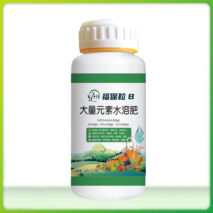 福保粒B